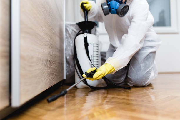 Best Termite Control Services  in Lima, OH
